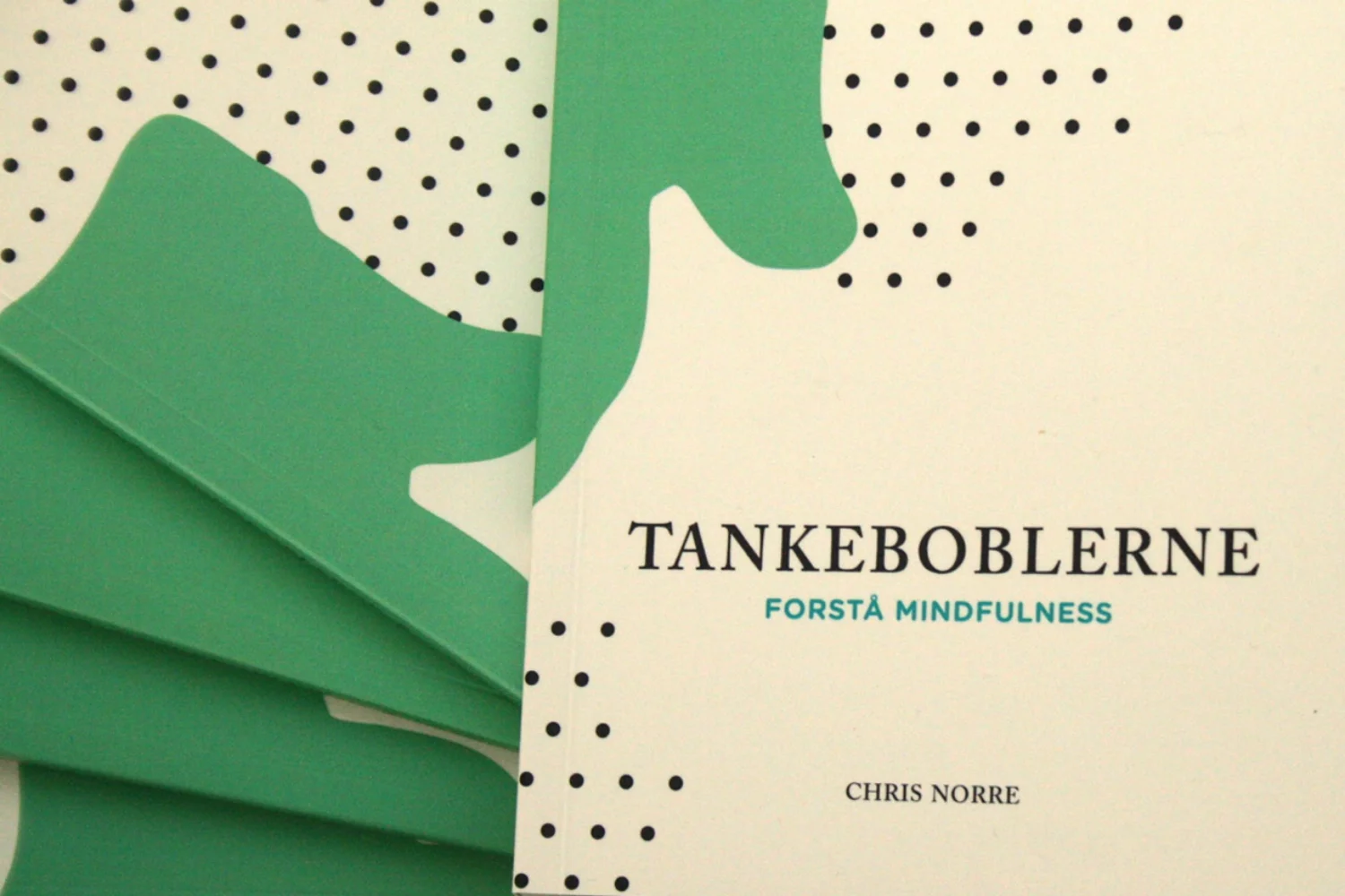 TANKEBOB_02.jpg