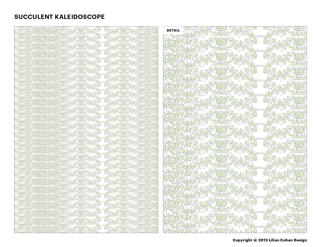 LilianCohenDesign_SucculentKaleidoscope_021614_Slide2.png