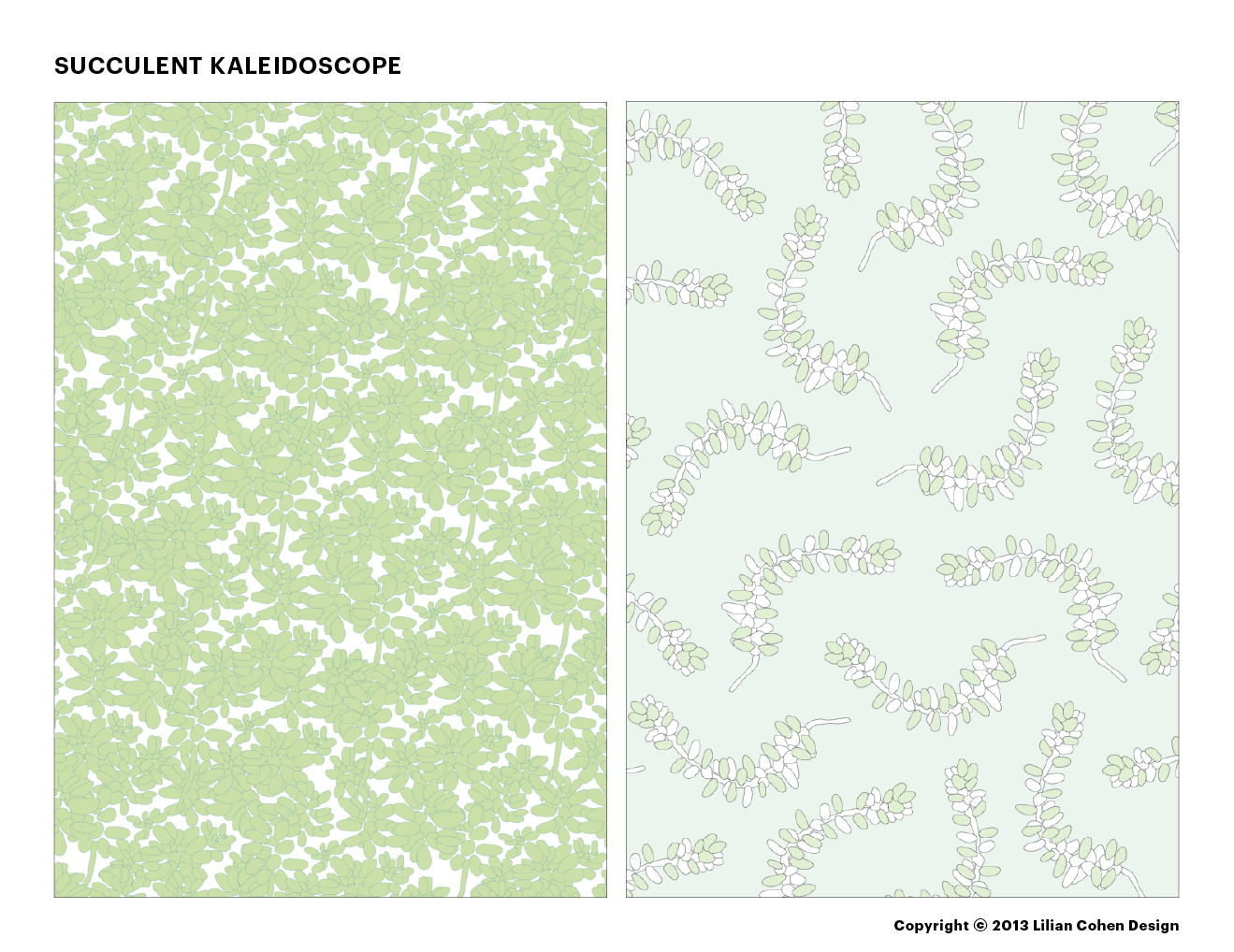 LilianCohenDesign_SucculentKaleidoscope_021614_Slide1.png