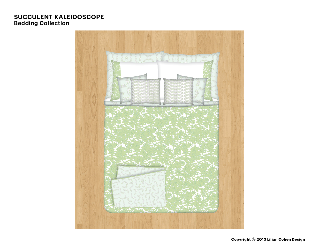 LilianCohenDesign_SucculentKaleidoscope_021614_Slide4.png