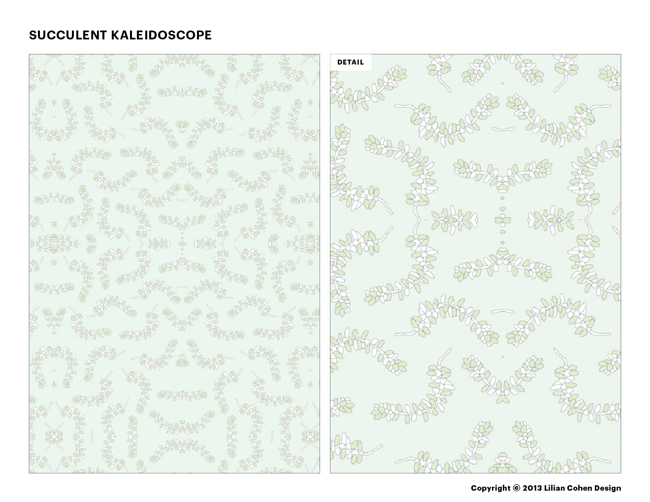 LilianCohenDesign_SucculentKaleidoscope_021614_Slide3.png