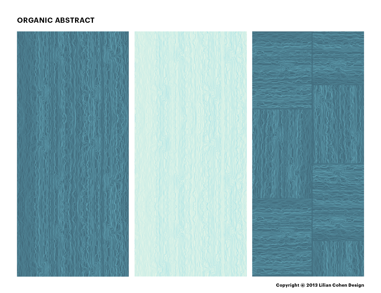 LilianCohenDesign_OrganicAbstract_021614_Slide3.png