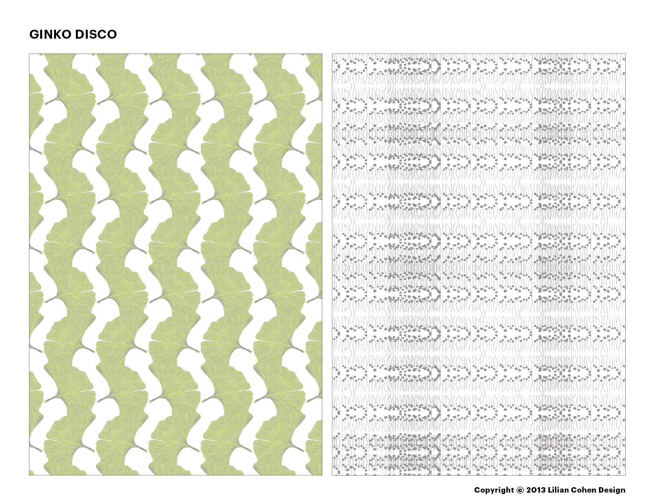 LilianCohenDesign_GinkoDisco_021614_Slide2.png
