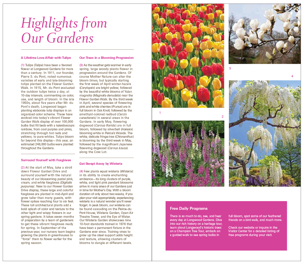 Screen Shot 2014-09-11 at 11.14.29 PM.png