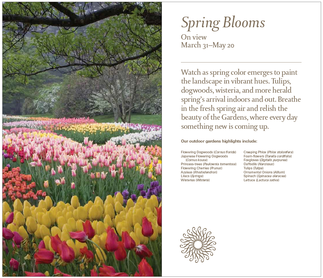 Screen Shot 2014-09-12 at 12.11.31 AM.png