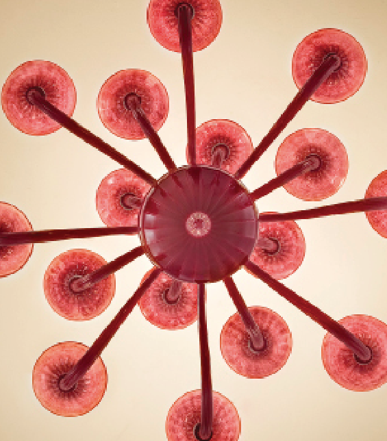 Screen Shot 2014-09-12 at 12.51.01 AM.png