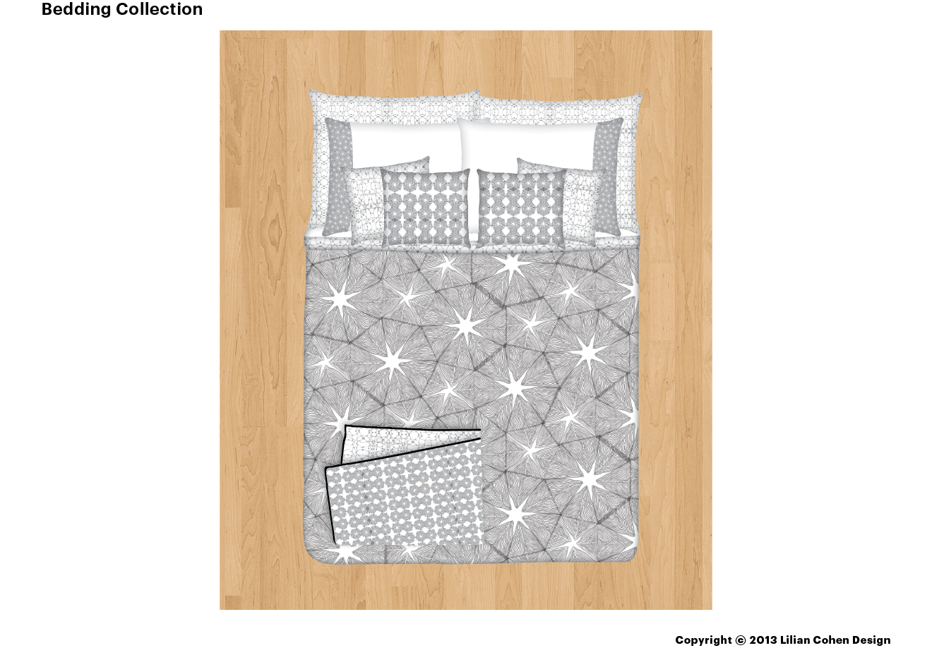 LilianCohenDesign_LatticeLace_021614_Slide5.png