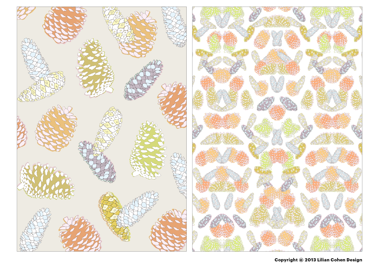 LilianCohenDesign_TechnicolorPinecones_021614_Slide1.png