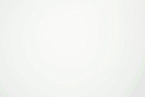 LoLo_Assembly_01.gif