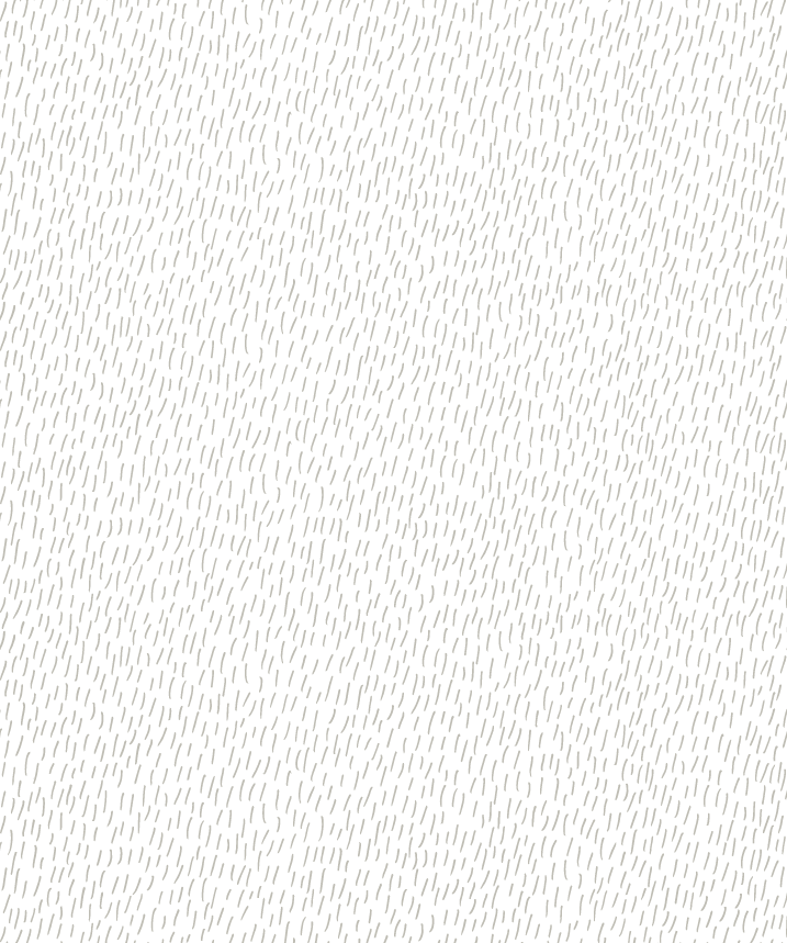 The bear's coat pattern