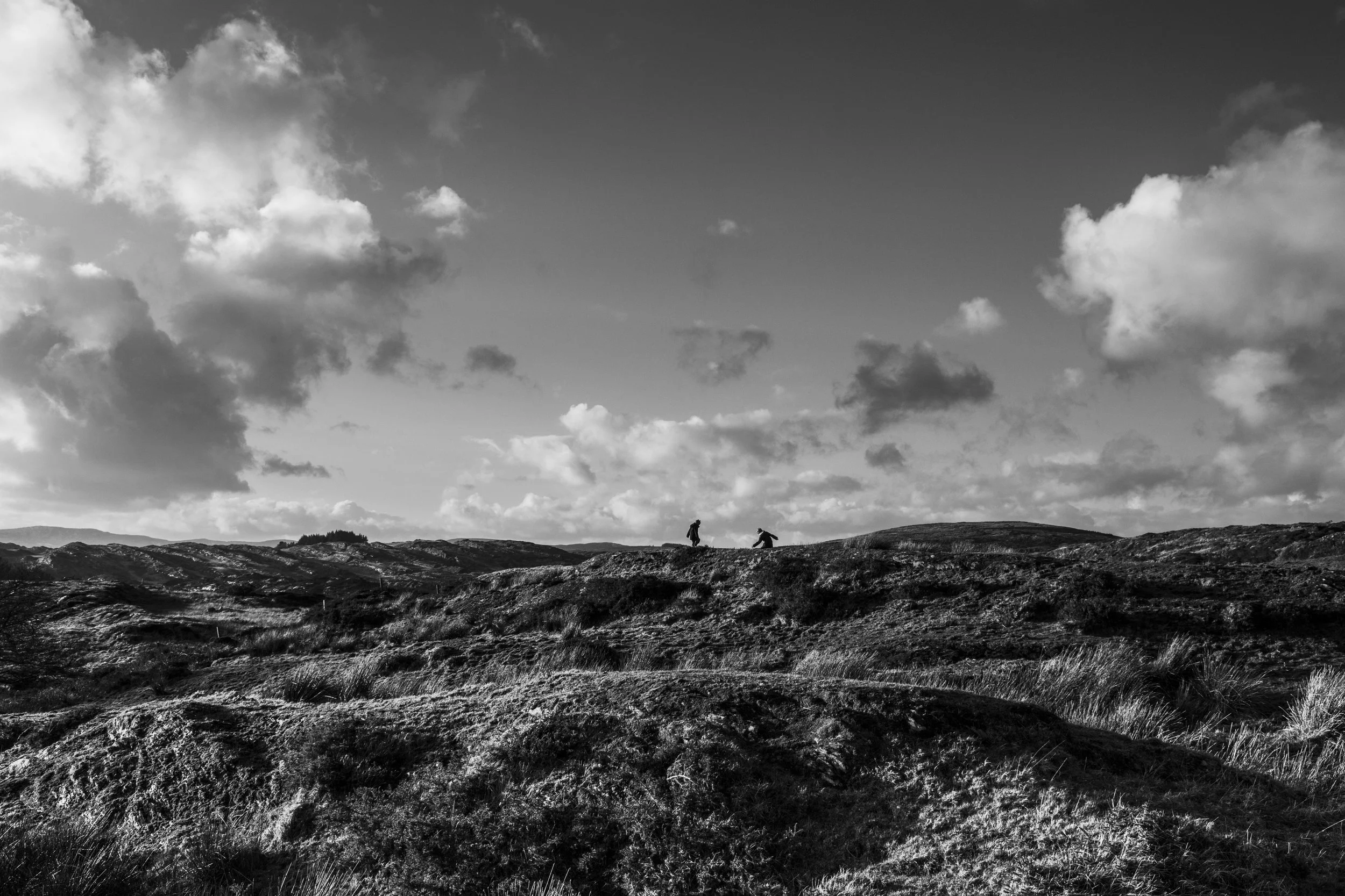 DSC_5849d.jpg