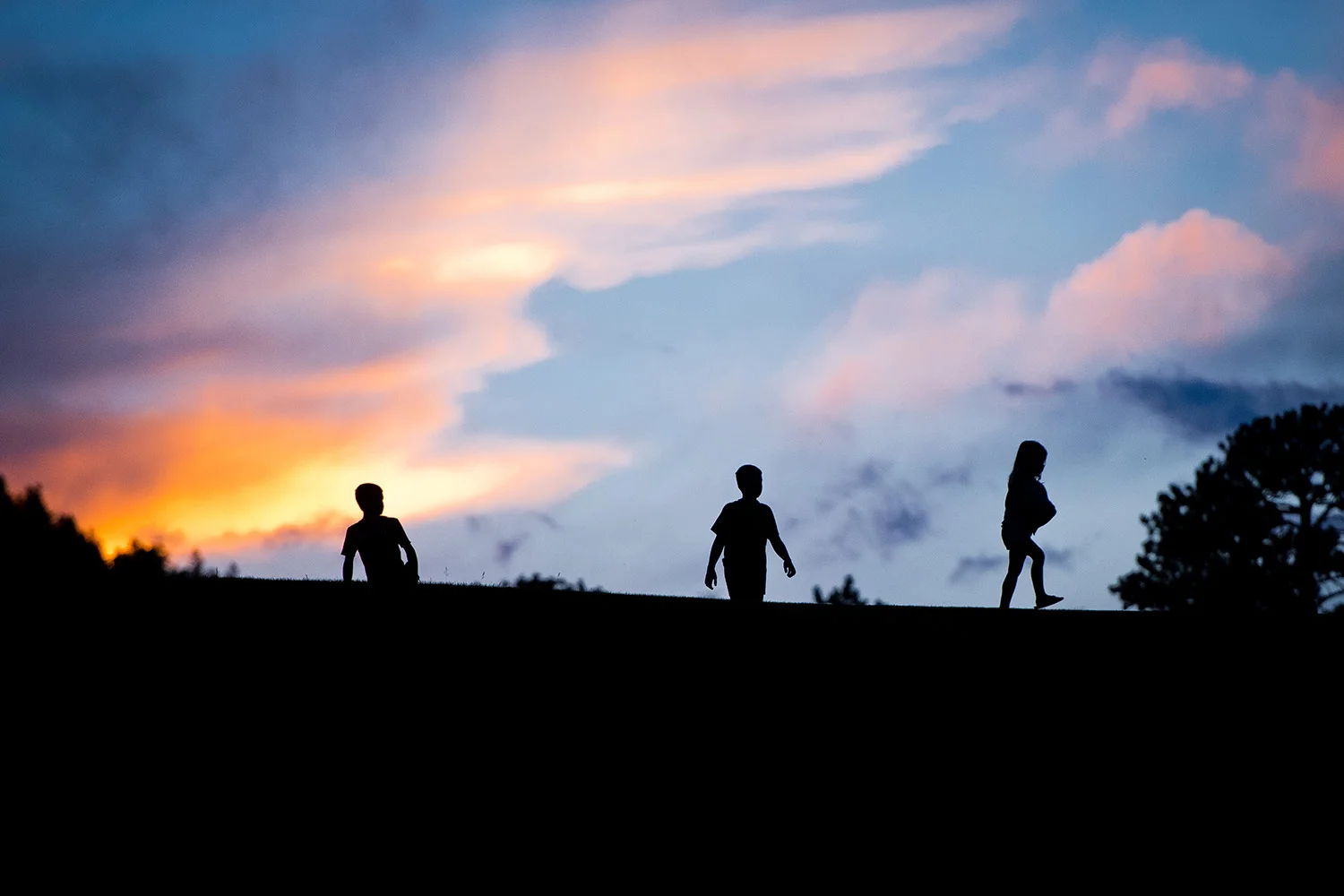 20140724_Colorado_elk_group_186_edit_web.jpg