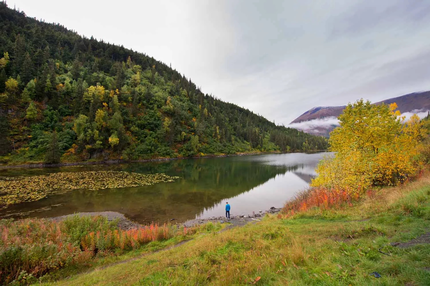 20150911_Alaska_112.jpg