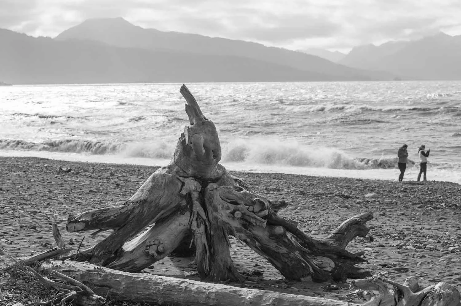 20150912_Alaska_441.jpg
