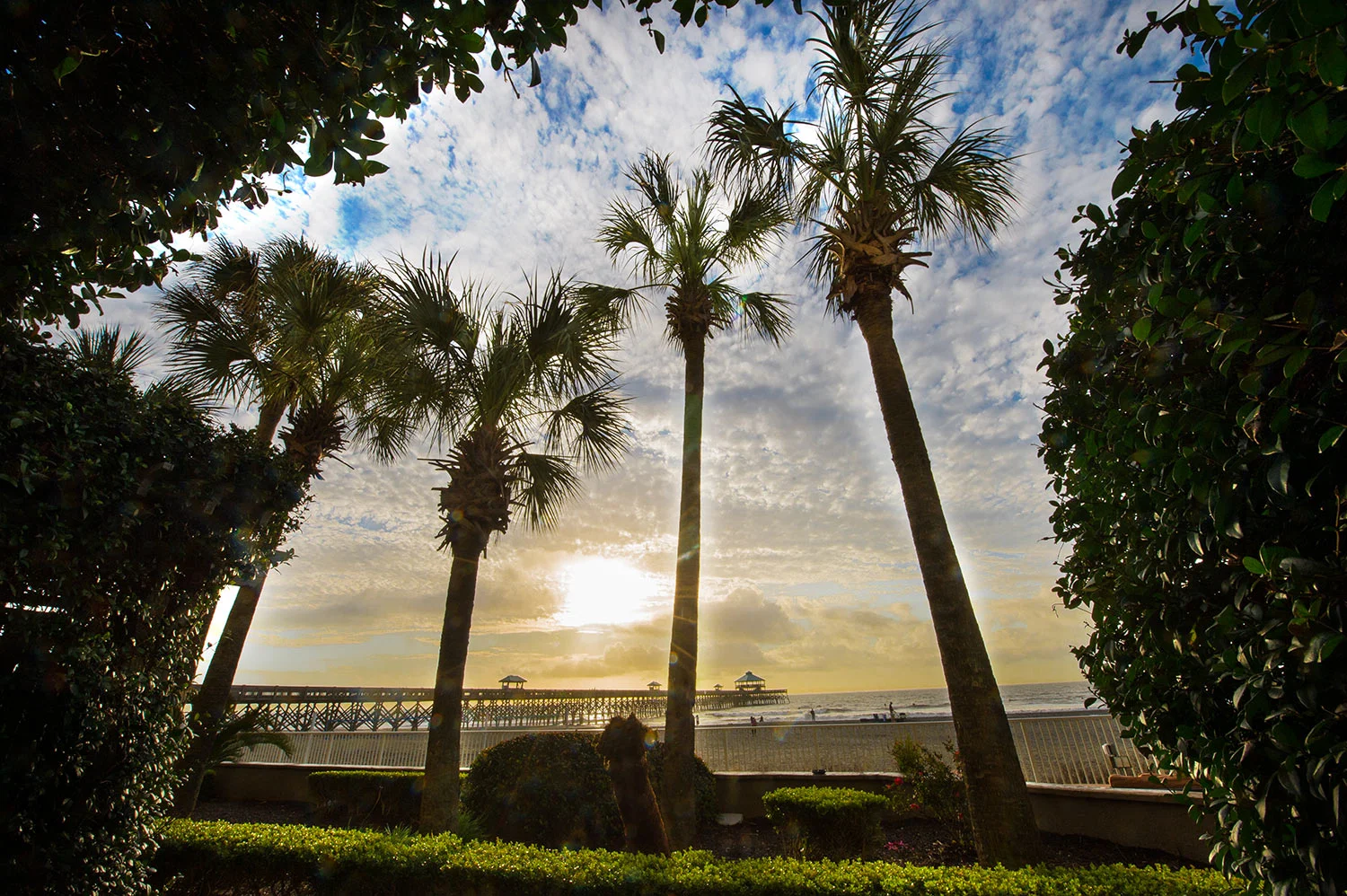 20151228_Charleston_022_web.jpg