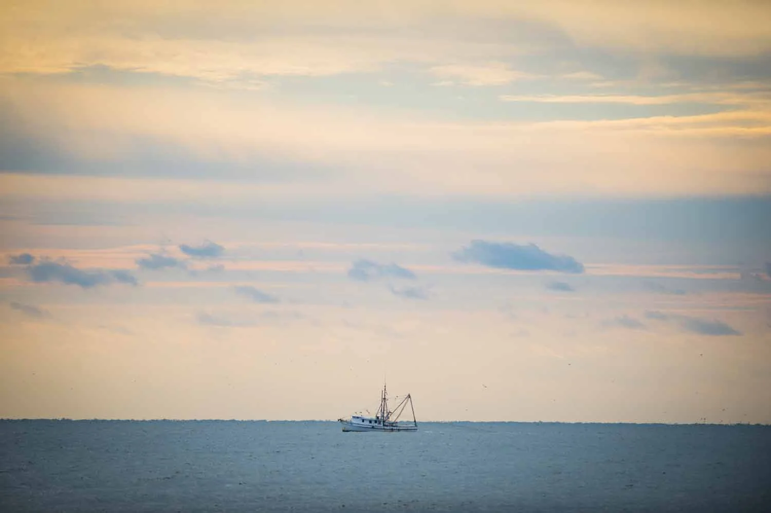 20160102_Charleston_063.jpg
