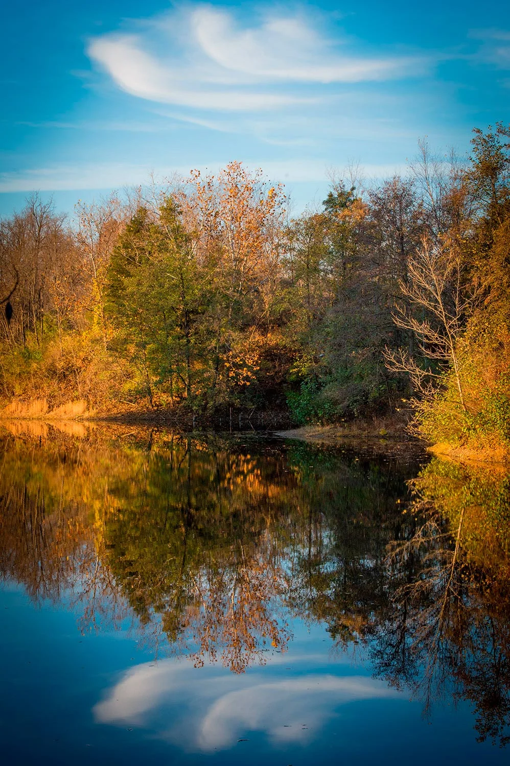 20131110_Hike_Finger_Lakes_152_web.jpg