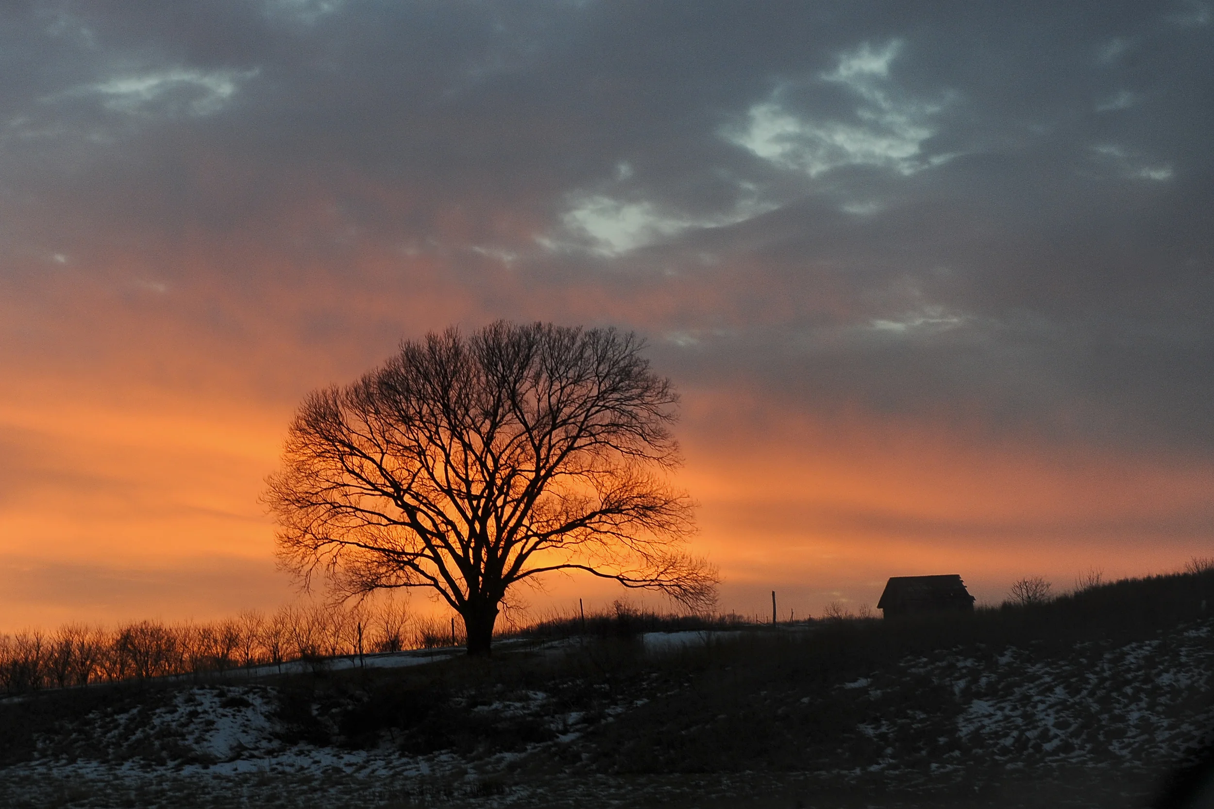 110128_chicago_128.jpg