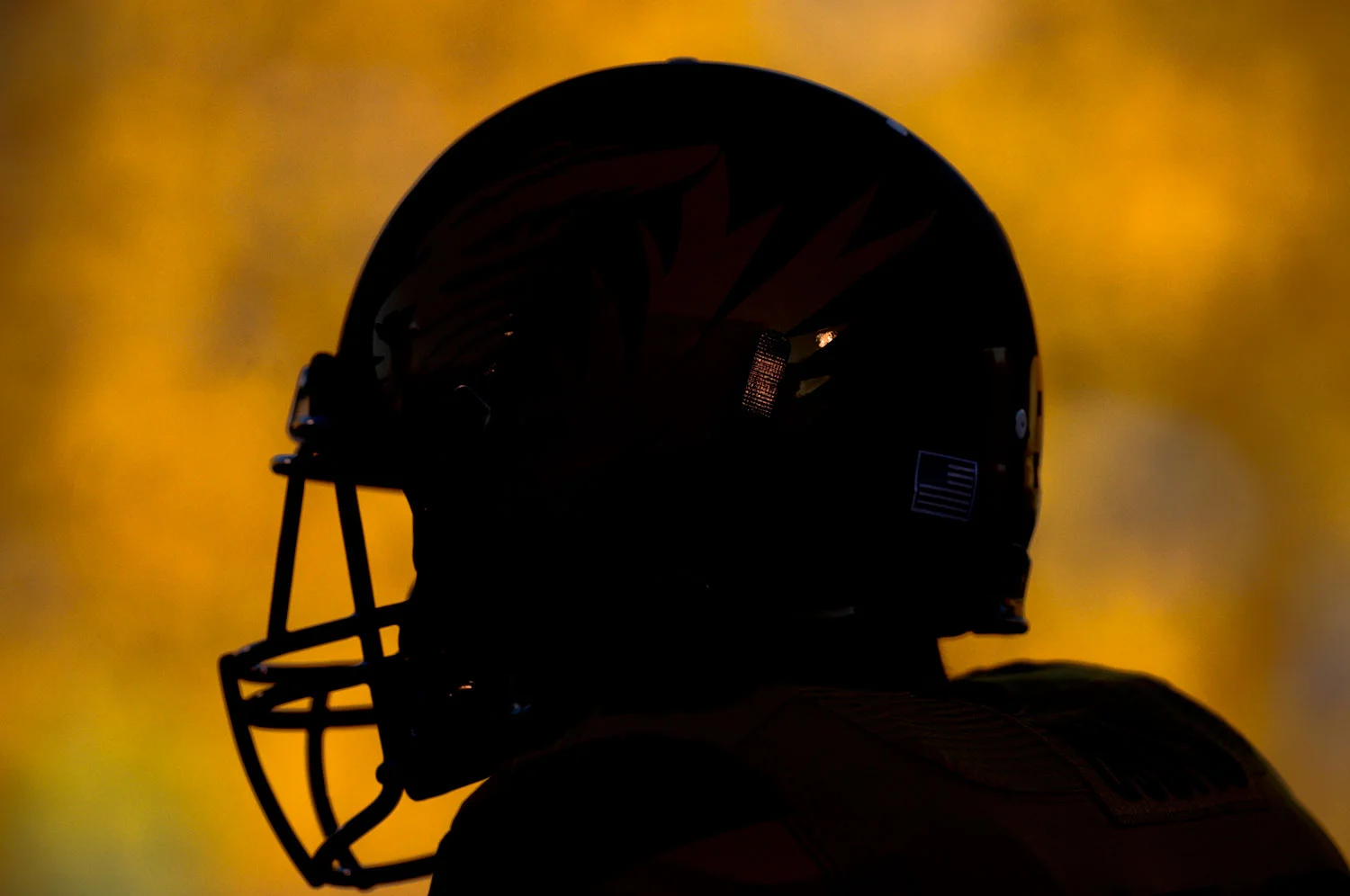 120908_football_georgia_0228.jpg