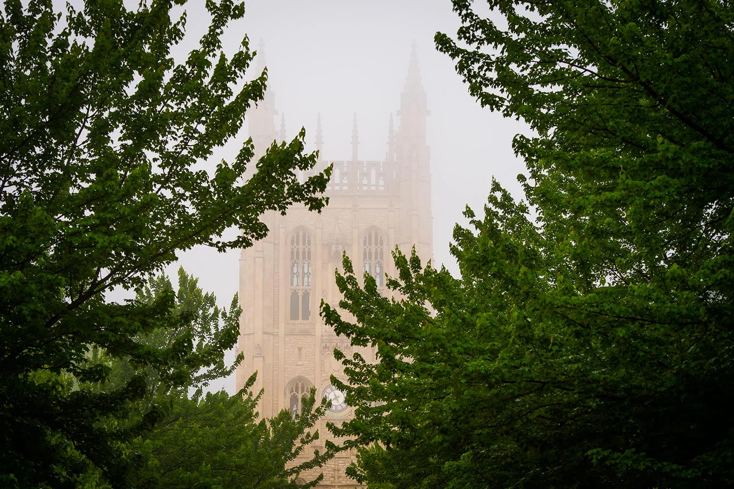 20160503_Memorial_Union_fog_13_web.jpg