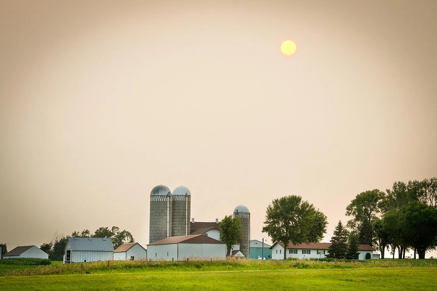 20150709_Minneapolis_country_web.jpg