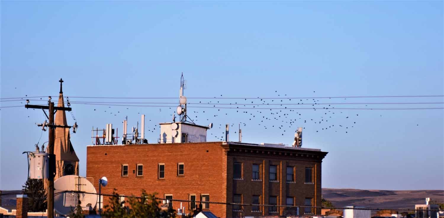 20210925_Landscape_2400_21.jpg