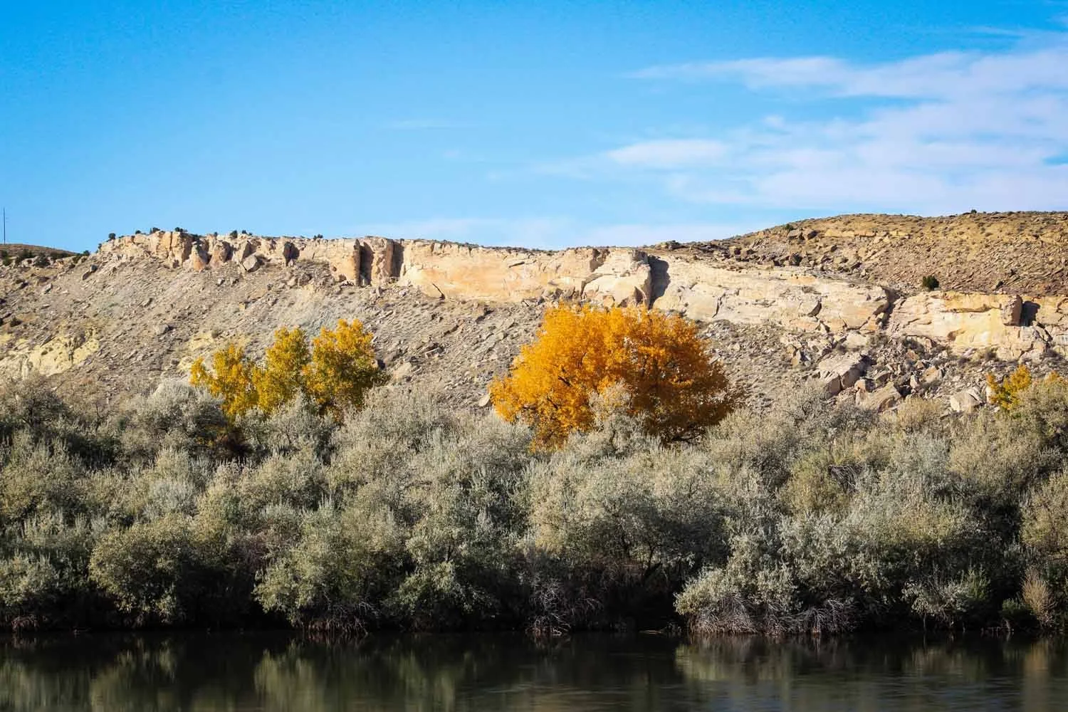 HammerLatisha_Landscape_03.jpg
