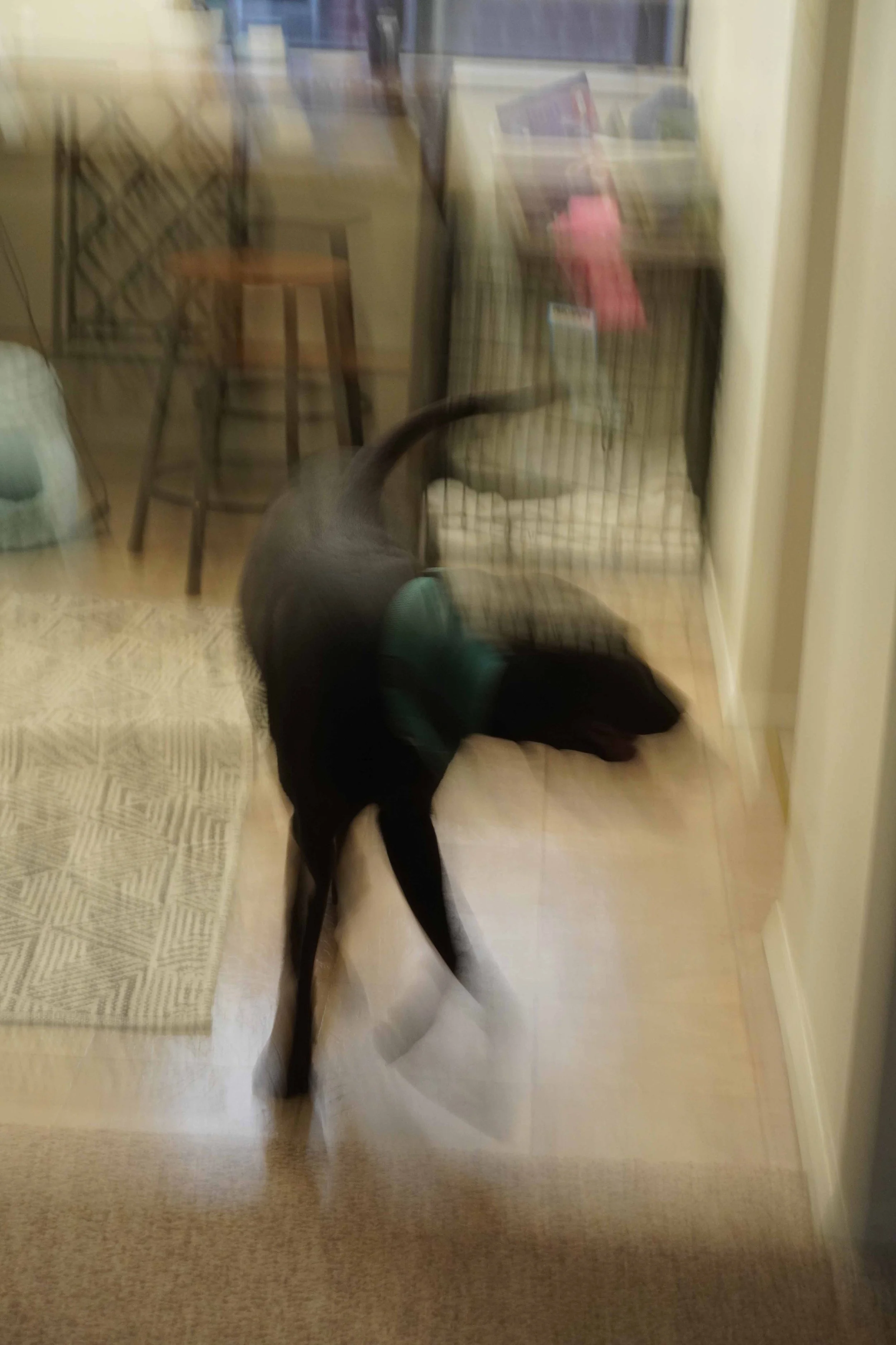 mooremorgans_ScavengerHunt2.jpg