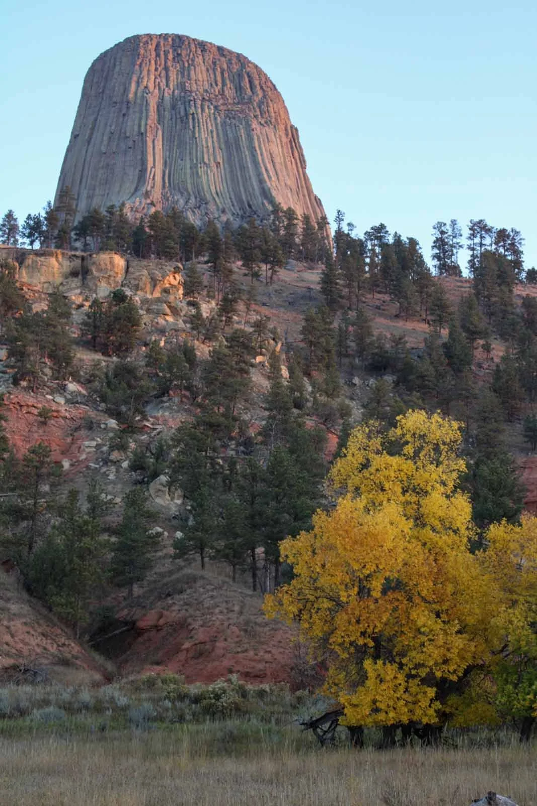 Boysen_Jenny_Autumn_at_Devils_Tower.jpg