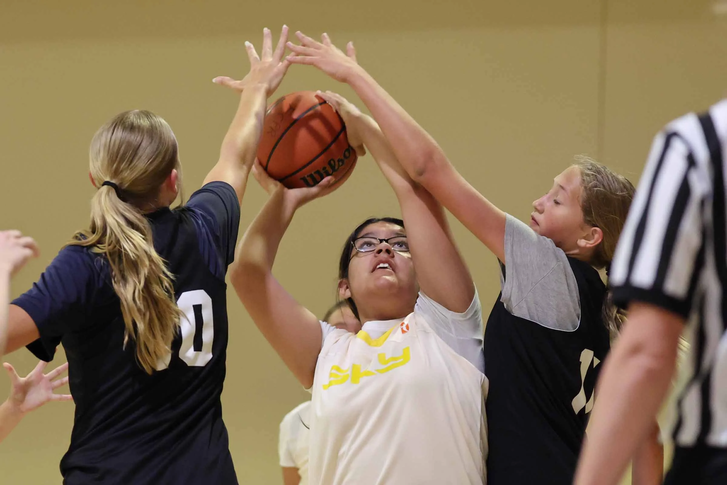 20260629_Iris_basketball_1966_selects.jpg