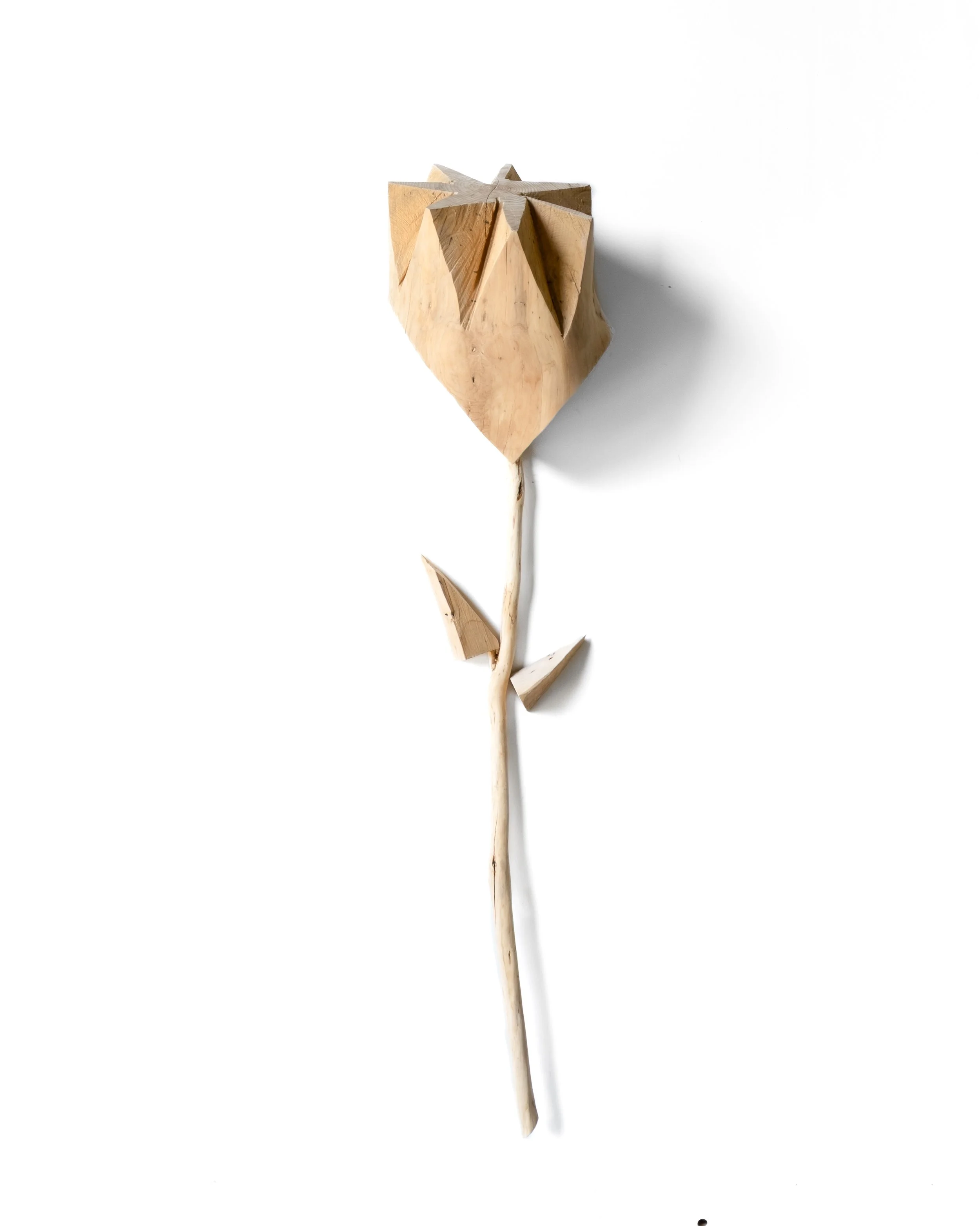 ZakHelenskeFlower-7-2.jpg