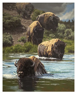 Buffalo XING Blog Image.jpg