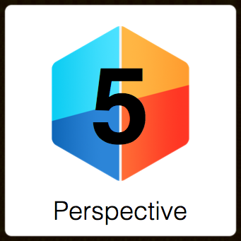Perspective 5