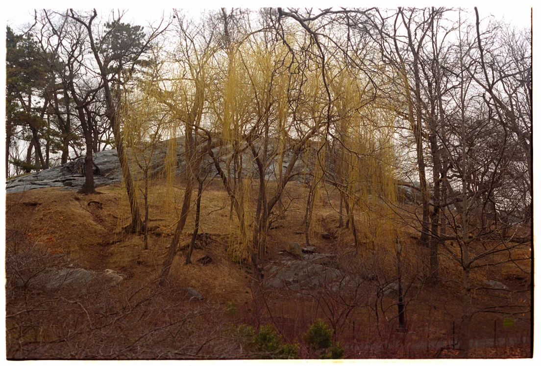 2014_April_051_Web.jpg