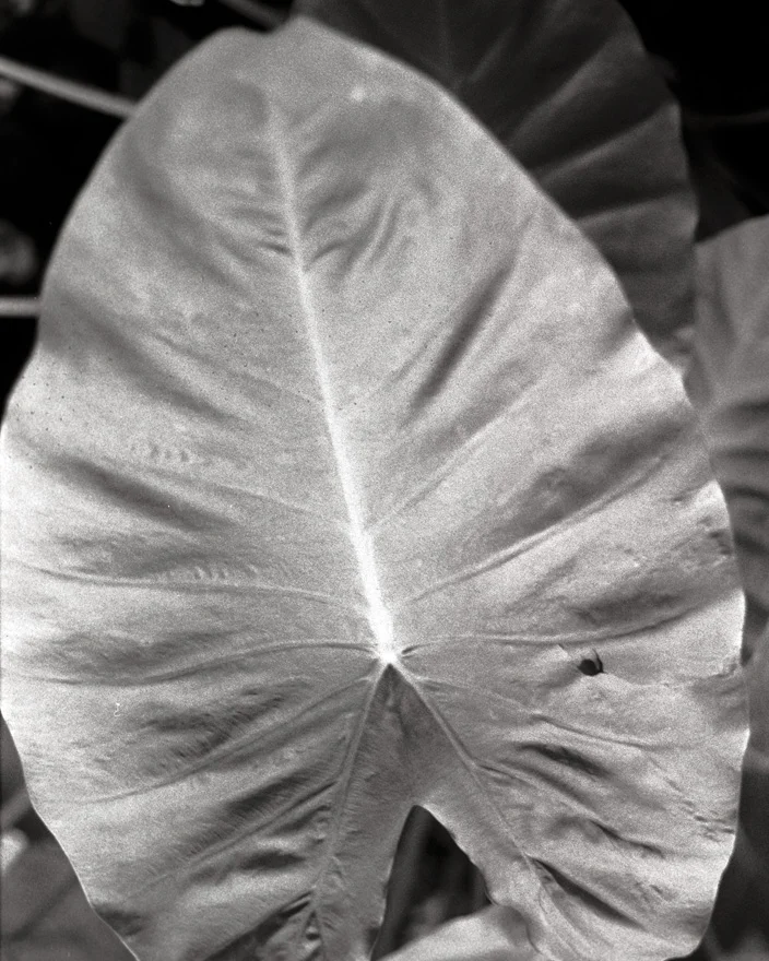2014november_06_Web.jpg