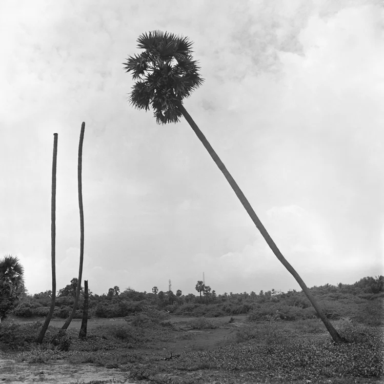 2016_ArielIoneWilliams_India-3.jpg