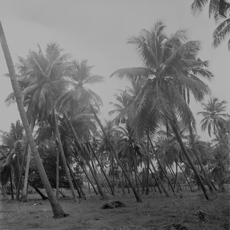 2016_ArielIoneWilliams_India-13.jpg