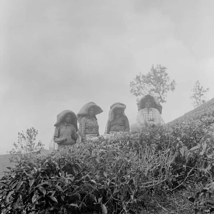 2016_ArielIoneWilliams_India-33.jpg