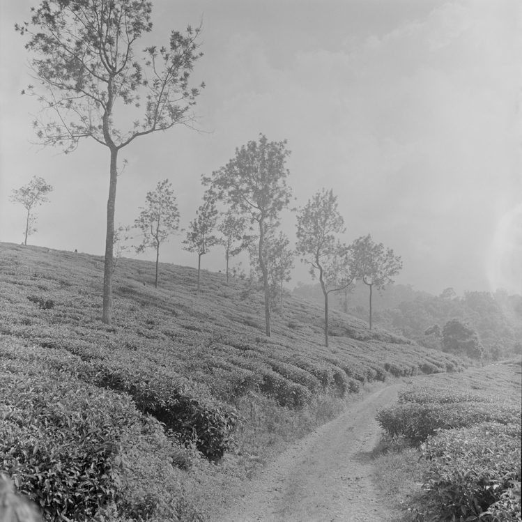 2016_ArielIoneWilliams_India-35.jpg