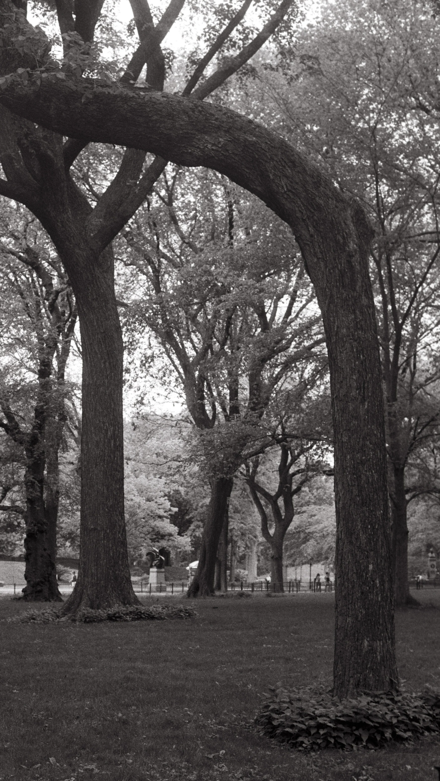 2014_Summer_097.jpg