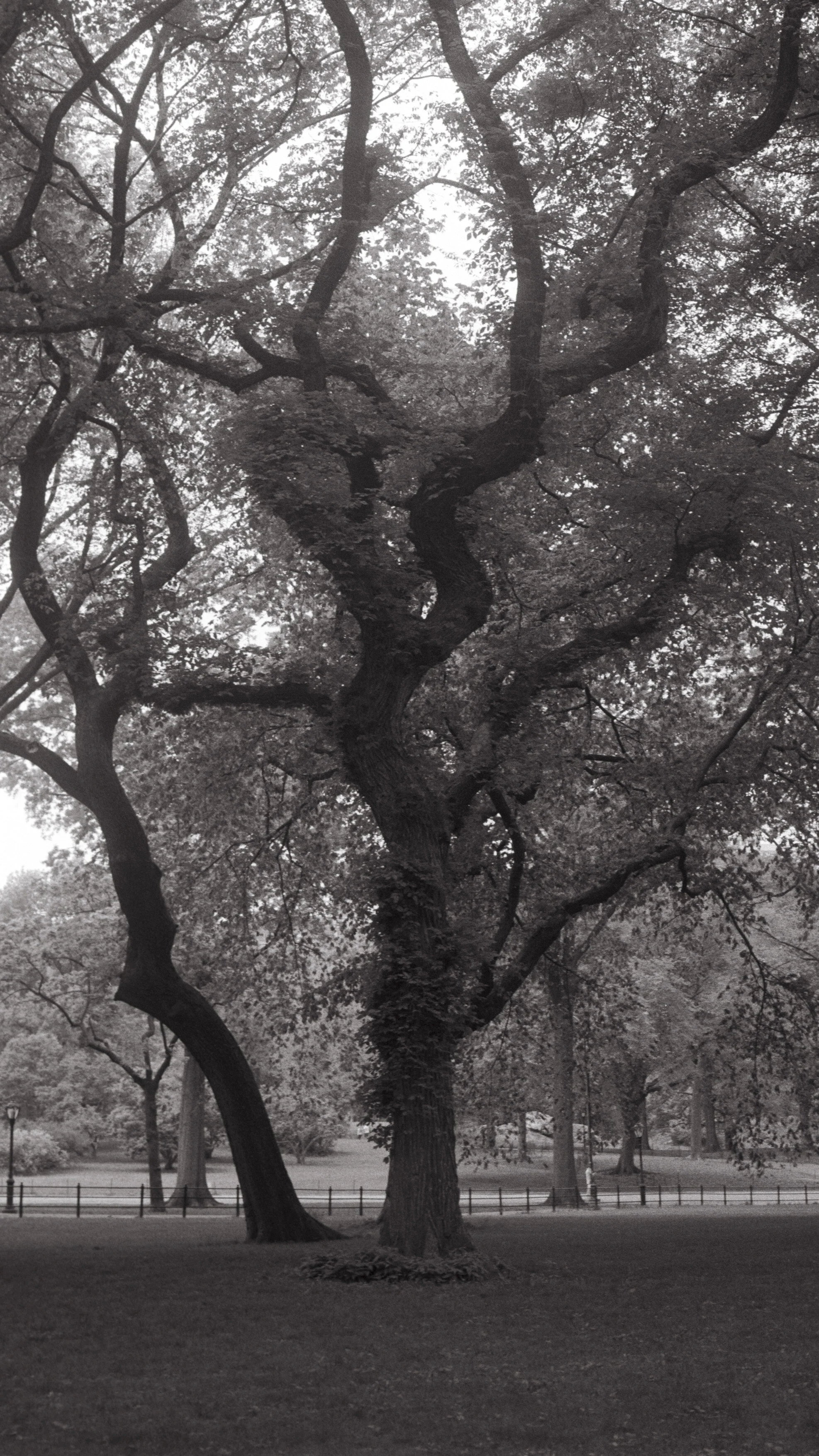 2014_Summer_096.jpg