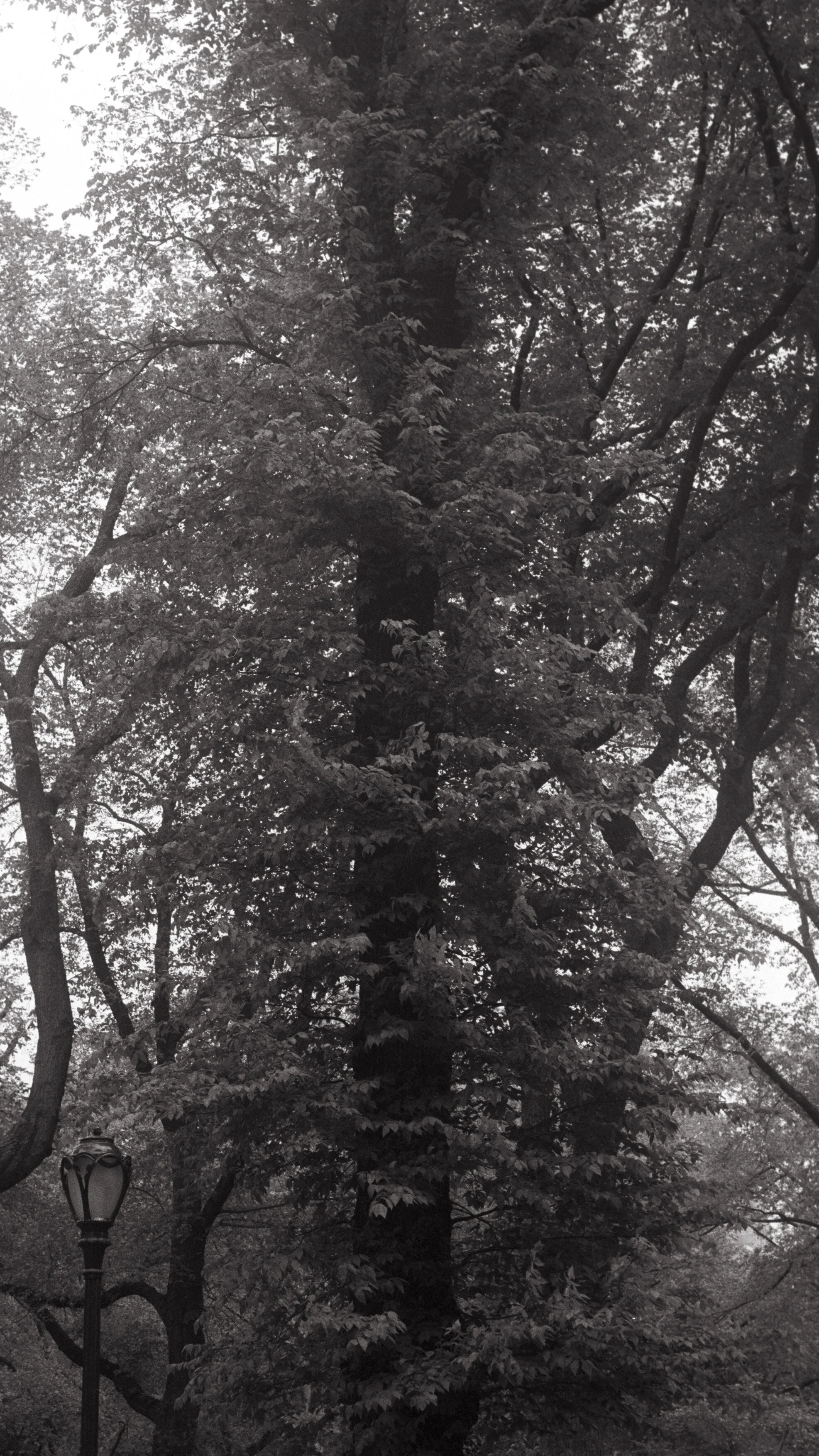2014_Summer_092.jpg
