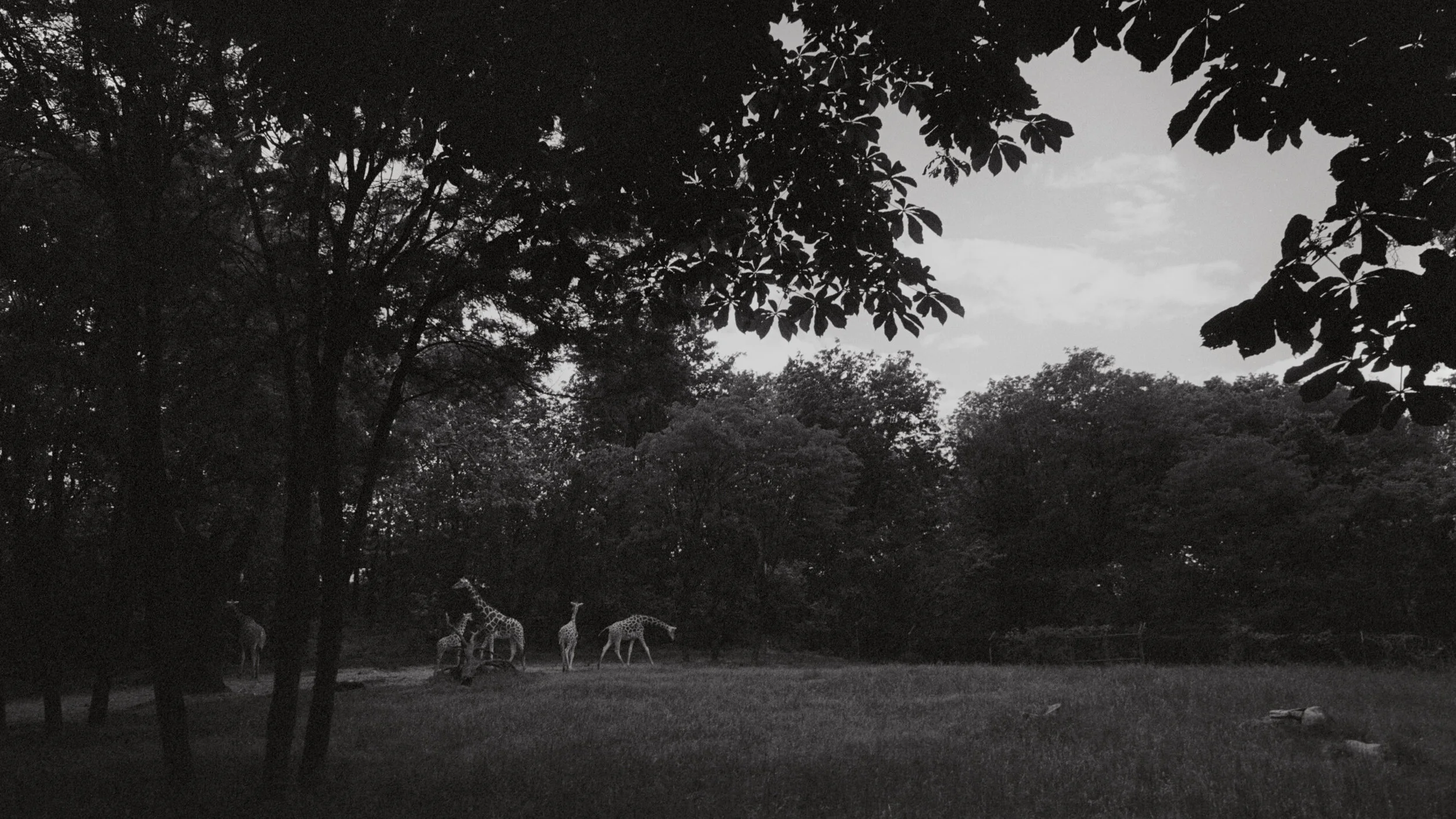 2014_Summer_069.jpg