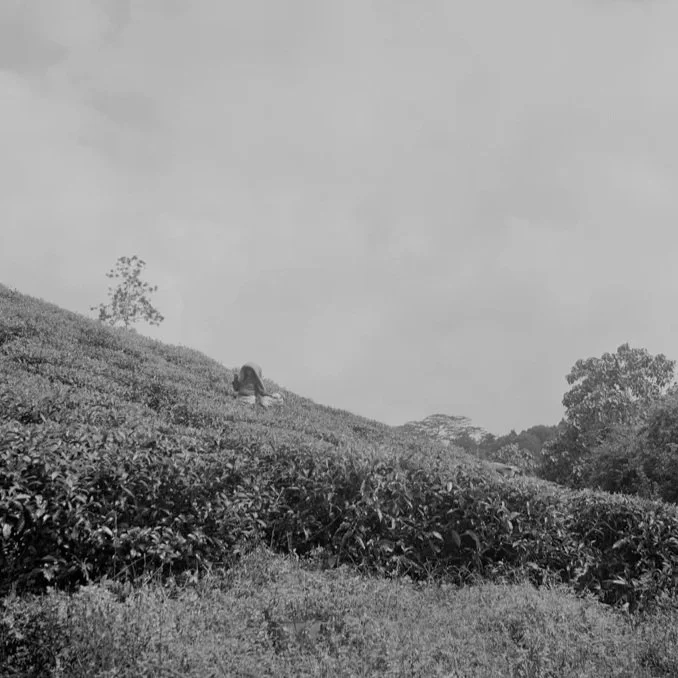 2016_ArielIoneWilliams_India-32.jpg