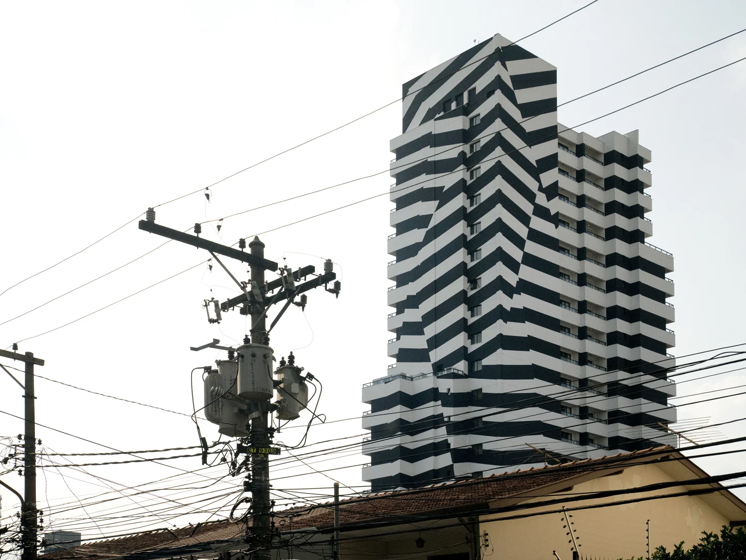 P1080374.jpg