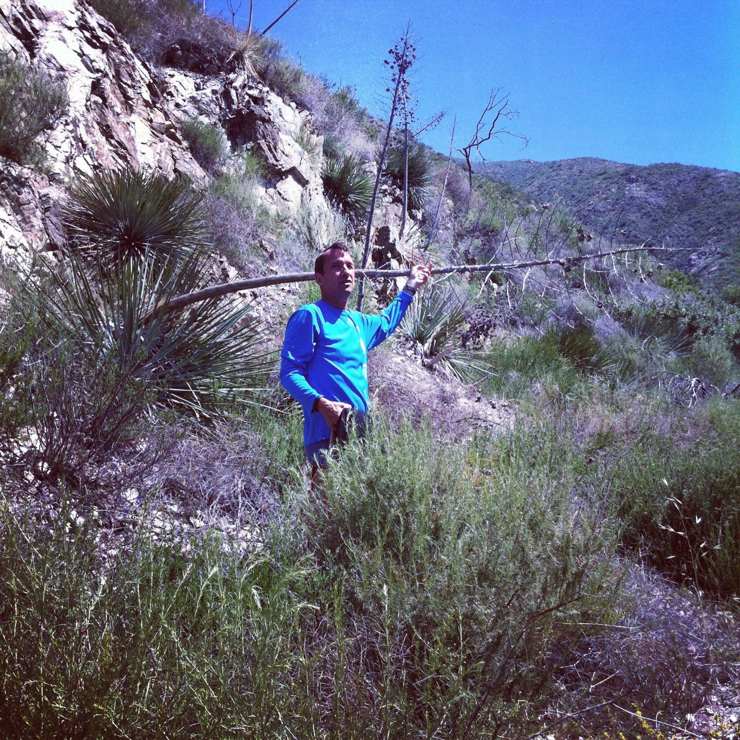 The Chumash Healer of Southern California in His Natural Habitat