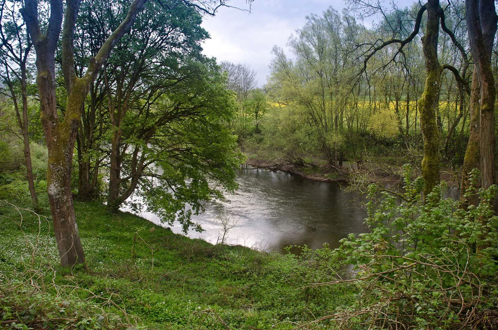 river-view.jpg