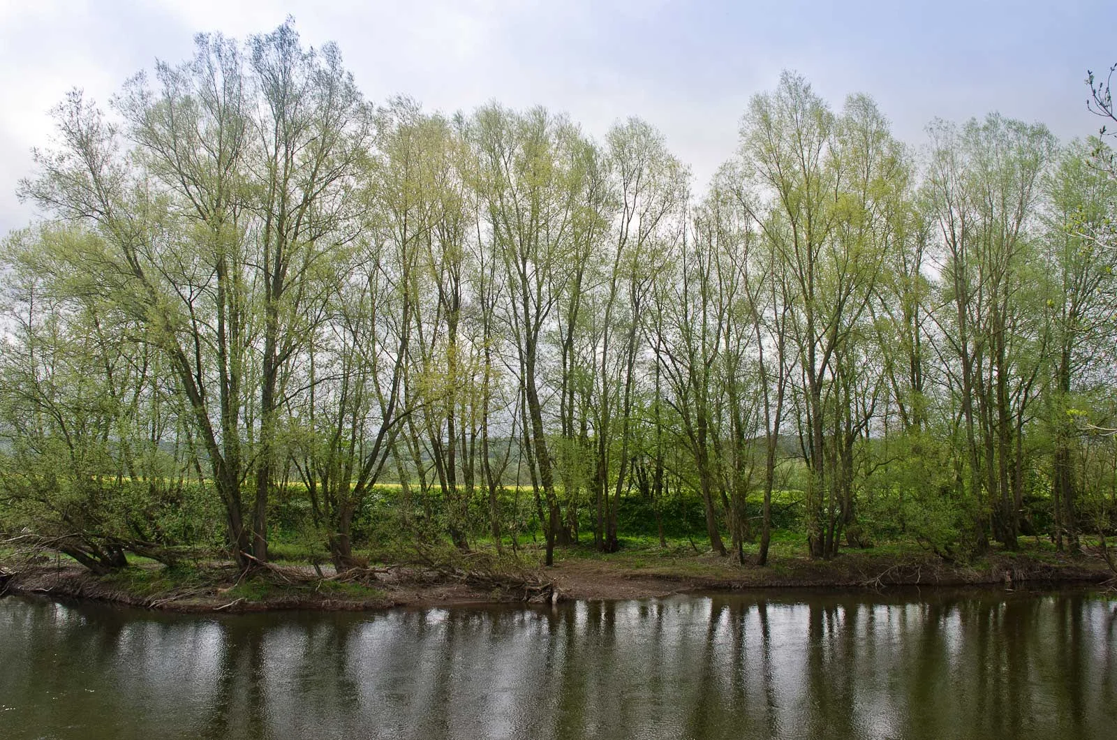 river-opposite.jpg