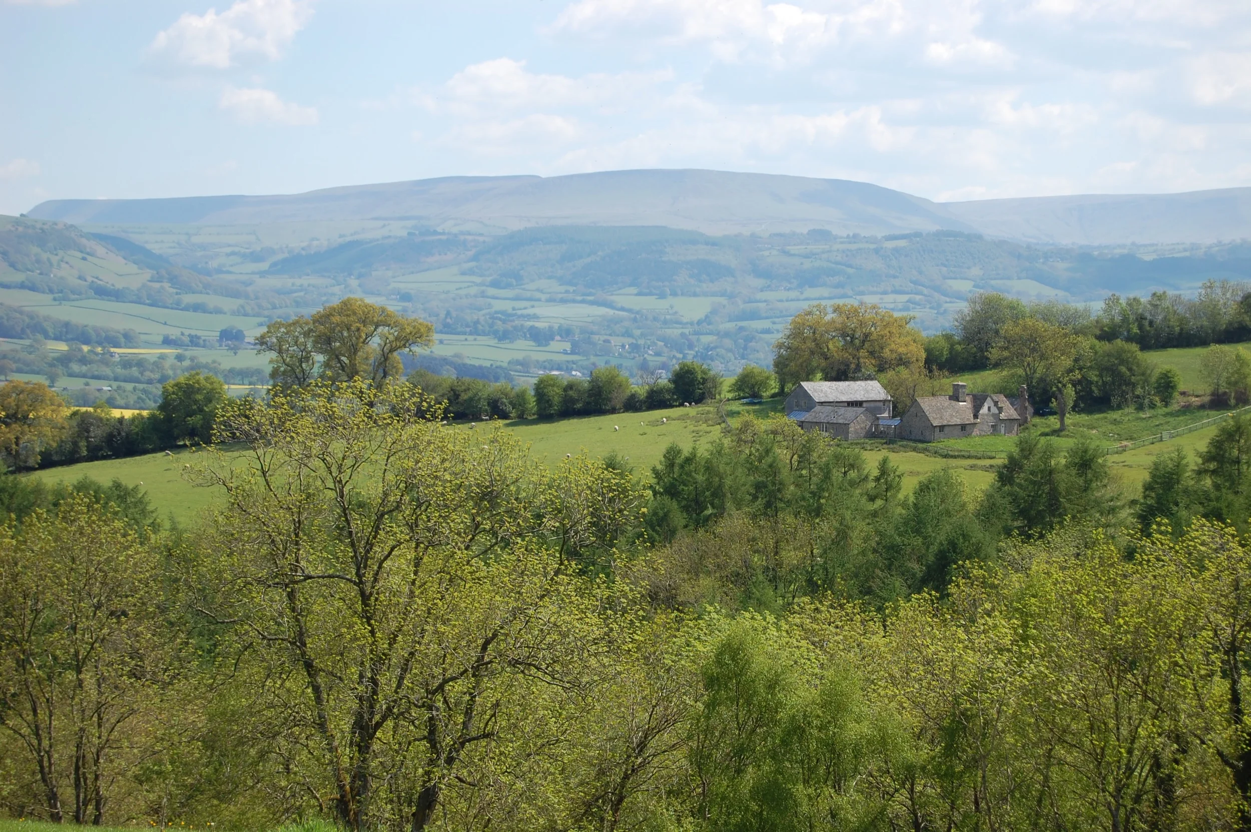 DSC_0832.jpg