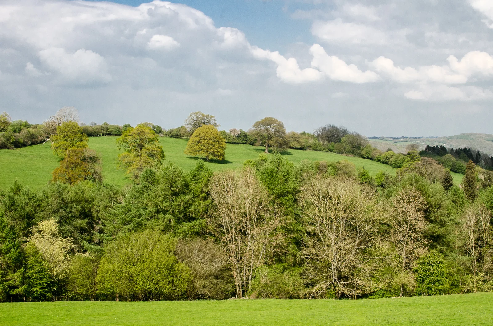 Cwm-Pelved_4849.jpg